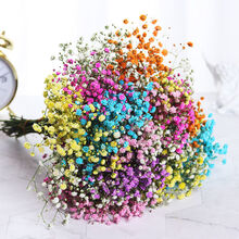 满天星干花花束天然风干真花客厅摆设新房装饰摆件桌面插花小清新 七彩满天星 不含瓶