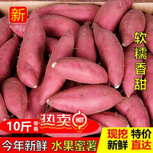 (今年新鲜红薯)水果蜜薯烤薯地瓜富硒番薯红心甜糯2/5/10斤 带箱10斤净重9【强烈】