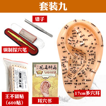 子彧 耳穴贴 耳朵模型 耳穴探针 耳豆贴 耳贴压豆 王不留行籽贴 16cm多穴耳+耳贴600贴+耳书+镊子 +铜探笔