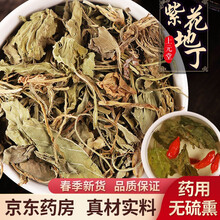 连锁药房发货】紫花地丁草中药材500g克 非野生正品无硫熏 2020新货 精品好货 可泡紫花地丁茶 【500g装】符合GMP标准，品质保证