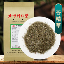 京皖 谷精草 中药饮片 按方抓药 100g/袋