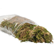 绿伴 进口椰土无菌乌龟冬眠土爬虫饲养箱椰土垫材保湿蜘蛛角蛙爬宠椰砖 【单独苔藓一包】