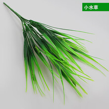 仿真植物墙塑料草坪假绿植墙装饰假花壁挂客厅绿化室内背景墙配饰 小水草