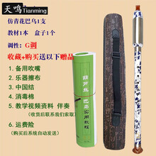 新款胶木竖吹仿红木巴乌A调降BC调G调F调小学生初学入门乐器 套餐三:竖吹仿青花G调巴乌+教材+皮盒+