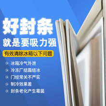 适用海尔BCD-215SKCA 215SDKCA 215SKCE 冰箱门封条磁性密封条 215SDKCA 下门