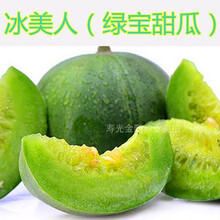 羊角蜜甜瓜种子 薄皮香瓜种籽 羊角脆羊角酥超甜水果四季高产 冰美人绿宝甜瓜500粒分装