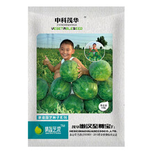 中科茂华懒汉至尊宝西瓜种子抗重茬耐低温免整枝打叉不易起棱空心红瓤超甜籽少多汁50粒