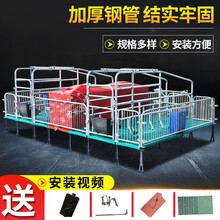 母猪产床猪用单体双体产床定位栏限位栏养殖器械 2.5复合2.2*3.8豪华版