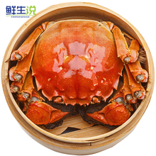 【活蟹】鲜生说 大闸蟹六月黄现货公蟹1.5-3.0两 活鲜生鲜 大闸蟹2.3-2.7两 8只