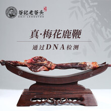 老谷头梅花鹿鞭整支鹿茸人参鹿鞭膏礼盒联系客服选鹿鞭形状 梅花鹿鞭1支/盒【50-69克】更多规格联系客服