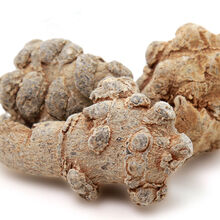 云南文山三七头三七粉无剪口20头30头等三七田七可代磨超细粉 30头30个一斤带剪口500克 三七(磨超细粉)