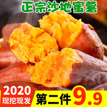 栗品优 板栗红薯沙地红薯5斤装红心糖心甜蜜薯 农家新鲜现挖 地瓜