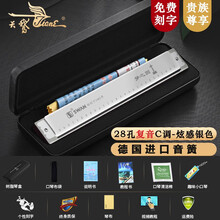 德国进口音簧口琴梦之圆28孔高级成人专业演奏级天鹅复音重音口琴初学者入门高端教学乐器 （高级款）复音流光银+全套配件