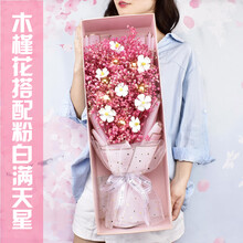 QUEENFLORA 粉色满天星干花花束礼盒大束蓝色玫瑰永生花生日表白真花送女友 毕业季七夕节情人节 木槿花大号粉白满天星礼盒款