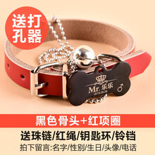 SLPC 狗牌项圈定制小型犬刻字挂牌身份牌猫牌泰迪宠物狗狗铃铛饰品大型犬狗项链 黑色骨头+红色皮项圈 XS（适合3-8斤左右宠物）