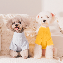 ISPET狗狗毛衣秋冬保暖两脚衣服小型犬泰迪雪纳瑞比熊博美衣服 蓝色 2XL（建议17-22斤）