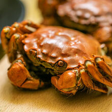 安小离大闸蟹鲜活现货螃蟹一元蟹0.5-2.2两河蟹毛蟹稻田蟹 （2.0-2.5两）6只