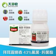 大丰收 德国拜耳露娜森 43%氟菌肟菌酯水果蔬菜花卉白病粉病靶斑病杀菌剂 10ml 10ml*1支
