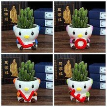 仙人球植物盆栽无刺仙人掌类植物办公室内开花防辐射桌面多肉植物 LOVE+4个万重山 含盆