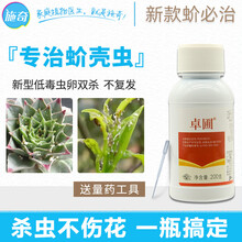 蚧壳虫专用药介壳虫除木虱杀虫剂柑橘蚧必治多肉植物药国光农药新 200g