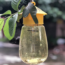 果蝇引诱剂实蝇器药水杀虫剂瓜果园百香果桔小实蝇针锋诱虫药 大器+果蝇诱剂*各一个
