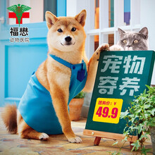 【福懋宠物医院】宠物猫咪狗狗节日寄养服务托养寄放在医院猫舍服务宠物寄养豪华酒猫舍犬舍大型犬&幼猫成猫 中笼(犬)