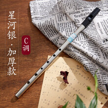 哨笛锡笛C调D调 笛子竖笛直笛长笛初学者 锡哨风笛乐器 【星河银-加厚款】C调