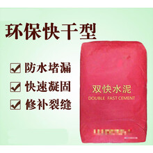快干水泥速凝固填充水不漏地面抢修防水硫铝酸盐双快水泥425（下单需咨询运费改价）
