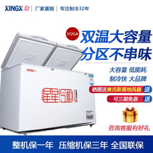 星星（XINGX）双温冰柜 冷藏冷冻柜 大容量顶开门冰柜 双温冷柜 饮料蔬菜雪糕柜 卧式冰柜家商两用 BCD-202GA（202升双温）