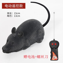 益馨荣 猫玩具老鼠无线遥控逗猫猫咪电动猫猫仿真宠物小猫的玩具 电动遥控款-灰色老鼠