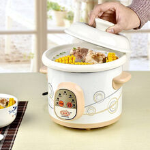 广兴全自动白瓷锅煲汤锅煮粥锅电炖锅保温 全自动白陶电炖锅 2.5L(2-3人)