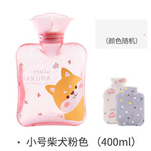 变色卡通热水袋注水女小号暖水袋暖脚暖手可爱迷你随身暖宝宝热宝 透明小号柴犬粉色