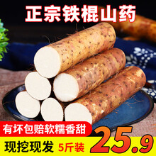 铁棍山药 新鲜现挖山药蔬菜 5斤（带箱）