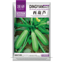 顶研 蔬菜种子 菜籽 盆栽种菜 庭院种植 西葫芦种子5克