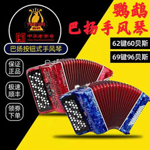 鹦鹉巴扬手风琴YW-663 69键96贝斯YW-672 62键60贝斯按钮手风琴初学考级演奏 60贝斯变色红YW-672