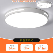 灯具客厅灯现代简约卧室吸顶灯房间大灯 LED走廊灯吸顶灯现代简约卧室过道客厅灯阳台厨卫灯灯饰灯具 30cm高光-24w