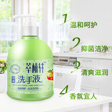 萃植轩 护色洗衣液4斤装 丝柔馨香家用易漂去油污渍留香 洗手液500g*1瓶