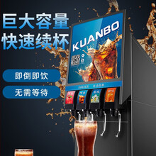 甄樽 可乐机商用小型可乐糖浆冰冷饮现调大容量汉堡自助碳酸饮料机 双阀不锈钢可乐机【高头款】