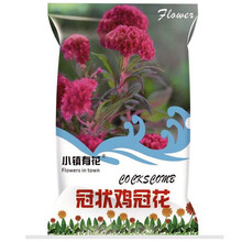 小镇有 花凤尾鸡冠花 冠状鸡冠花种子四季易活庭院盆栽花卉草花种子 冠状鸡冠花种子 红色5克 厂商封装