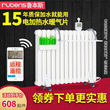 鲁本斯 电加热水暖气片家用水暖加水取暖器智能恒温注水取暖器电热散热器集中采暖两用 触屏款16柱