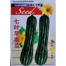 七叶早南瓜种子特早熟南瓜种子香甜糯花皮老南瓜种子高产倭瓜种籽 【七叶早南瓜】5代