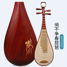 琵琶乐器非洲紫檀材质原木色刻诗琵琶行花梨专业演奏琵琶琴 8972QZ