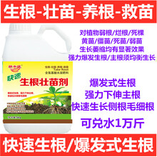 强力生根粉快速生根壮苗剂壮根促生长扦插移栽苗木蔬菜通用生根液 10斤*（快速型）
