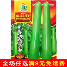 短棒瓠瓜种子早熟蒲瓜瓠子瓜种籽菜葫芦高产春季秋季四季农家种孑 孝感瓠子5克原装 LY