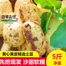 2020精选新鲜土豆5斤现挖马铃薯黄心土豆 洋芋时令蔬菜新鲜 9-10斤