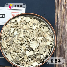 康益强  其他药 瓦楞子 100g