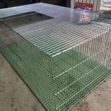 兔笼特大号兔子笼子荷兰猪豚鼠垂耳兔宠物兔养殖笼家用兔子运输笼 特密长1米宽60高40+组装钳+脚垫