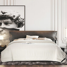 One's Member Ausgolden联名款澳洲制造DOWNS羊毛夏被 四季被澳洲进口澳毛被空调被夏凉被子 200*230cm