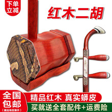 红木二胡蟒皮缅甸红木红花梨二胡乐器初学联系演奏考级成人儿童通用胡琴 铜轴款