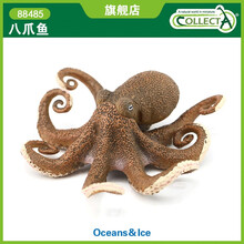 英国CollectA我你他仿真海洋动物模型玩具章鱼乌贼88485八爪鱼 88485八爪鱼